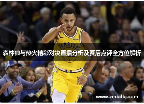 森林狼与热火精彩对决直播分析及赛后点评全方位解析